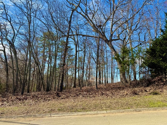 LOT 37 LAKE VISTA DRIVE, BANEBERRY, TN 37890 - Image b7b5b8cc63575d405a7ea20d2af3e13d/3117093358