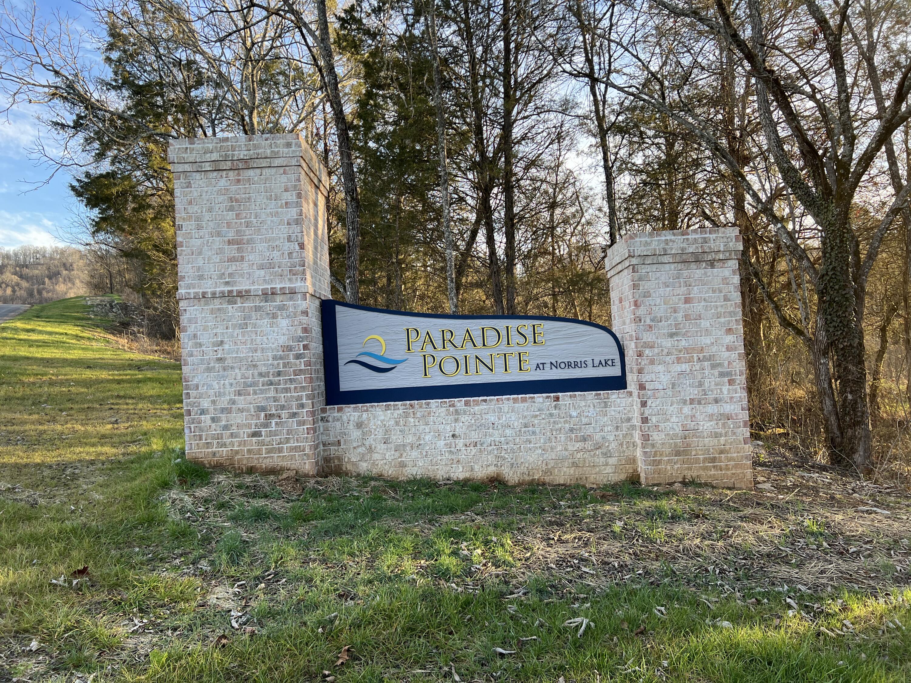 Photo 1 of 16 — na Waterfront Knoll, Maynardville, TN 37807