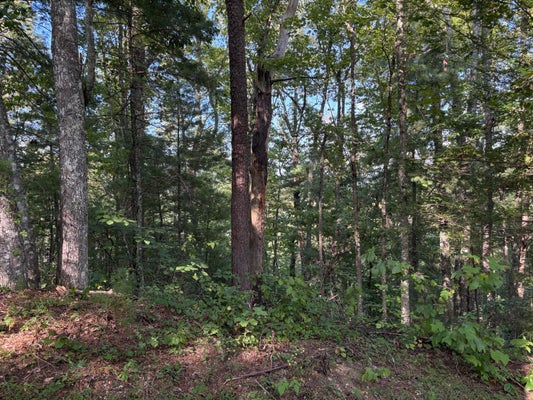 OAKWOOD RD, WALLAND, TN 37886 - Image f005185e95addcefd2fc02c1ce460898/402714210