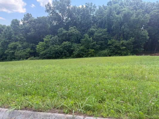 CASTLEBURY DR, JEFFERSON CITY, TN 37760 - Image f16e912584ddfee08f1a35c57901fc2f/4159063443
