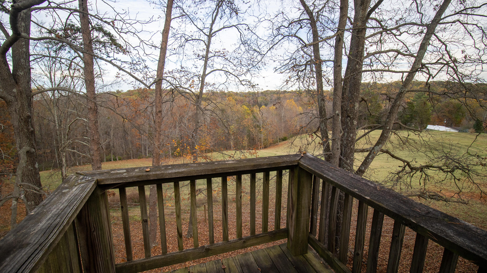 Talbott, Tennessee, 37877, United States, ,2 BathroomsBathrooms,Residential,Active,1769684