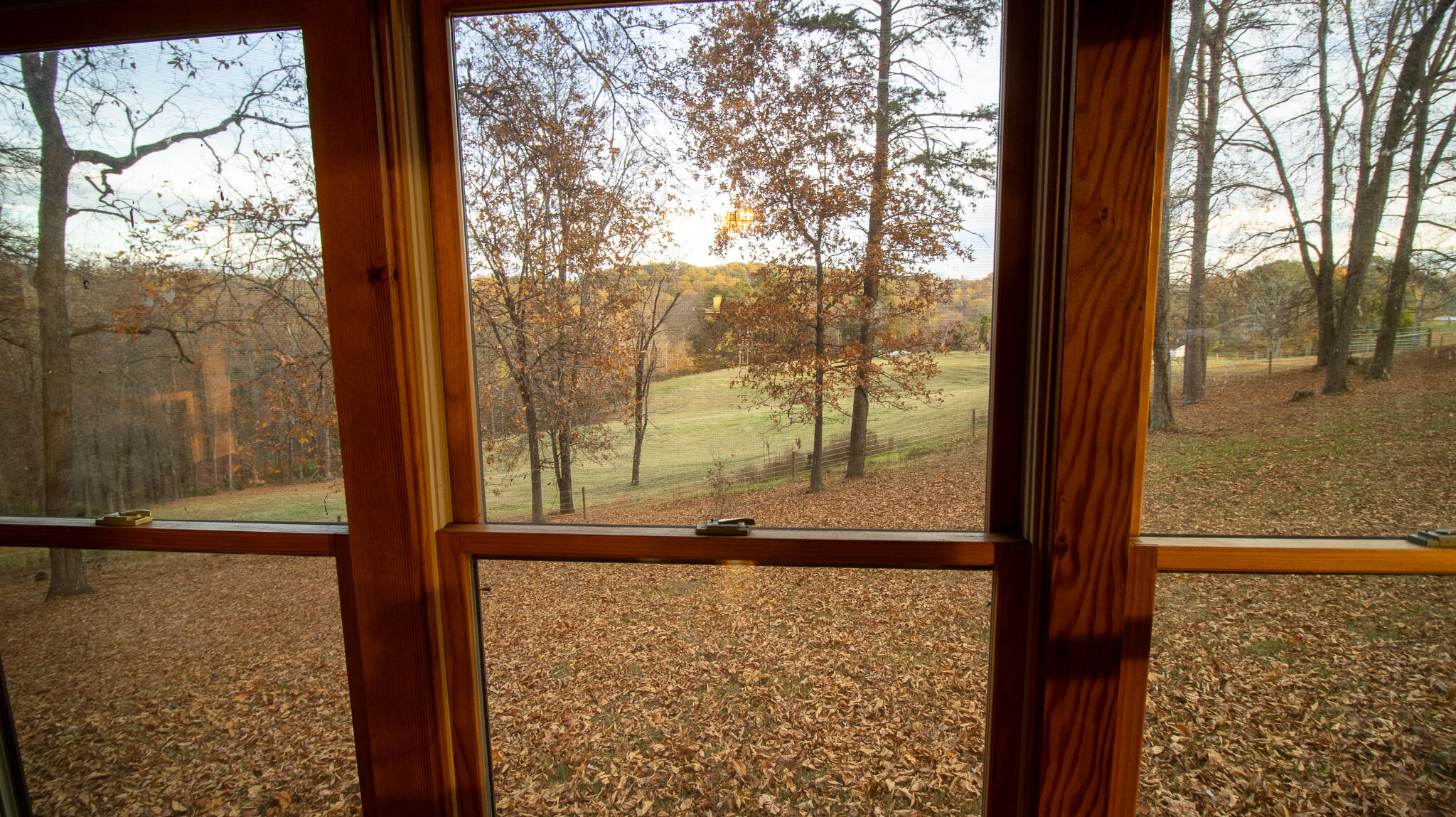 Talbott, Tennessee, 37877, United States, ,2 BathroomsBathrooms,Residential,Active,1769684