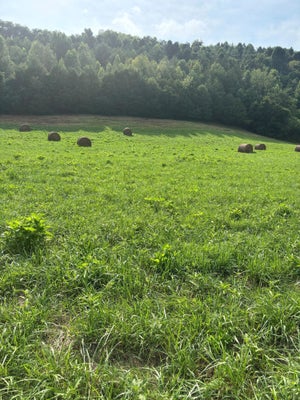 MCBRIDE RD, MORRISTOWN, TN 37814 - Image fe6501d3f35d054d27bc78ea6a650fc6/3340404313