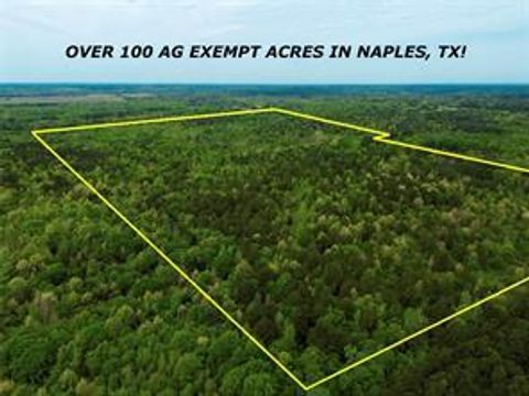 Photo of TBD Cr 2742, Naples, TX 75568 (MLS # 108863)