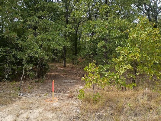 124 RISING STAR TRL, MABANK, TX 75156 - Image 4eb55dc0227a9c72e934bcd6a90ad064/2294580508