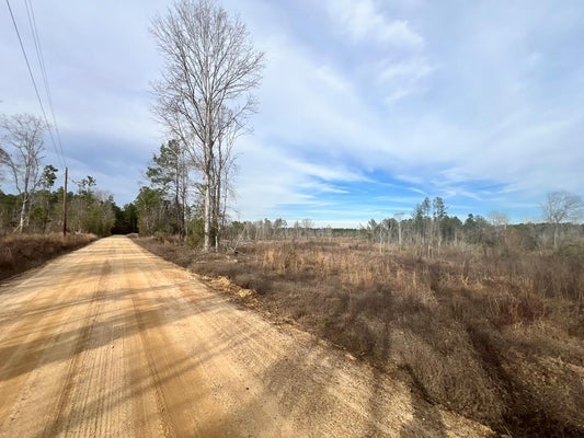 STRICKLAND RD, WAYNESBORO, MS 39367 - Image c8a9a840a259f0b0fc3a067ef0fc6c8b/677034795
