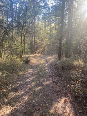 TABBY AVE, PHILADELPHIA, MS 39350 - Image f8907b383c19b3027e478b0c868e15e8/3834437232