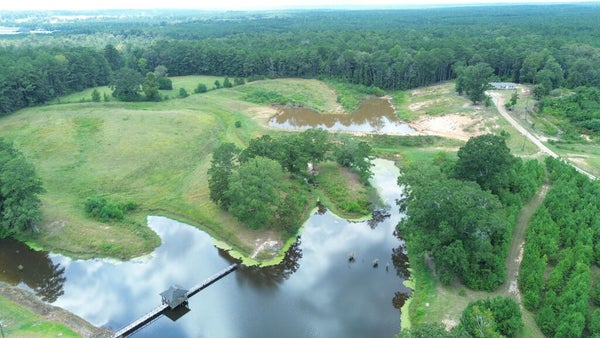 12191 HIGHWAY 37, TAYLORSVILLE, MS 39168 - Image fa868d04b6f2cb21bcff617b7d0f32ea/603274588