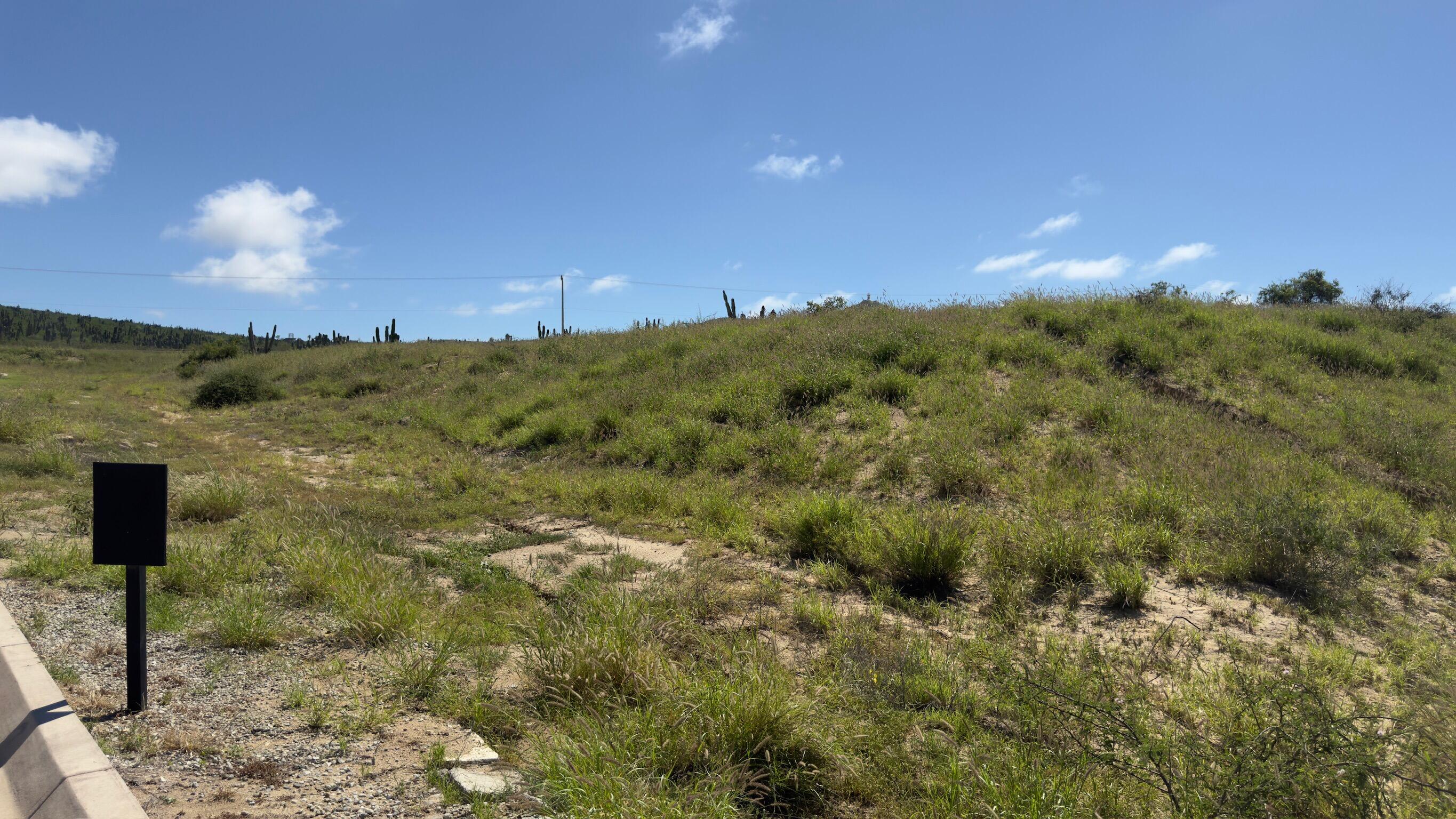 Diamante Cabo San Lucas, Mexico, ,Land,Active,38827