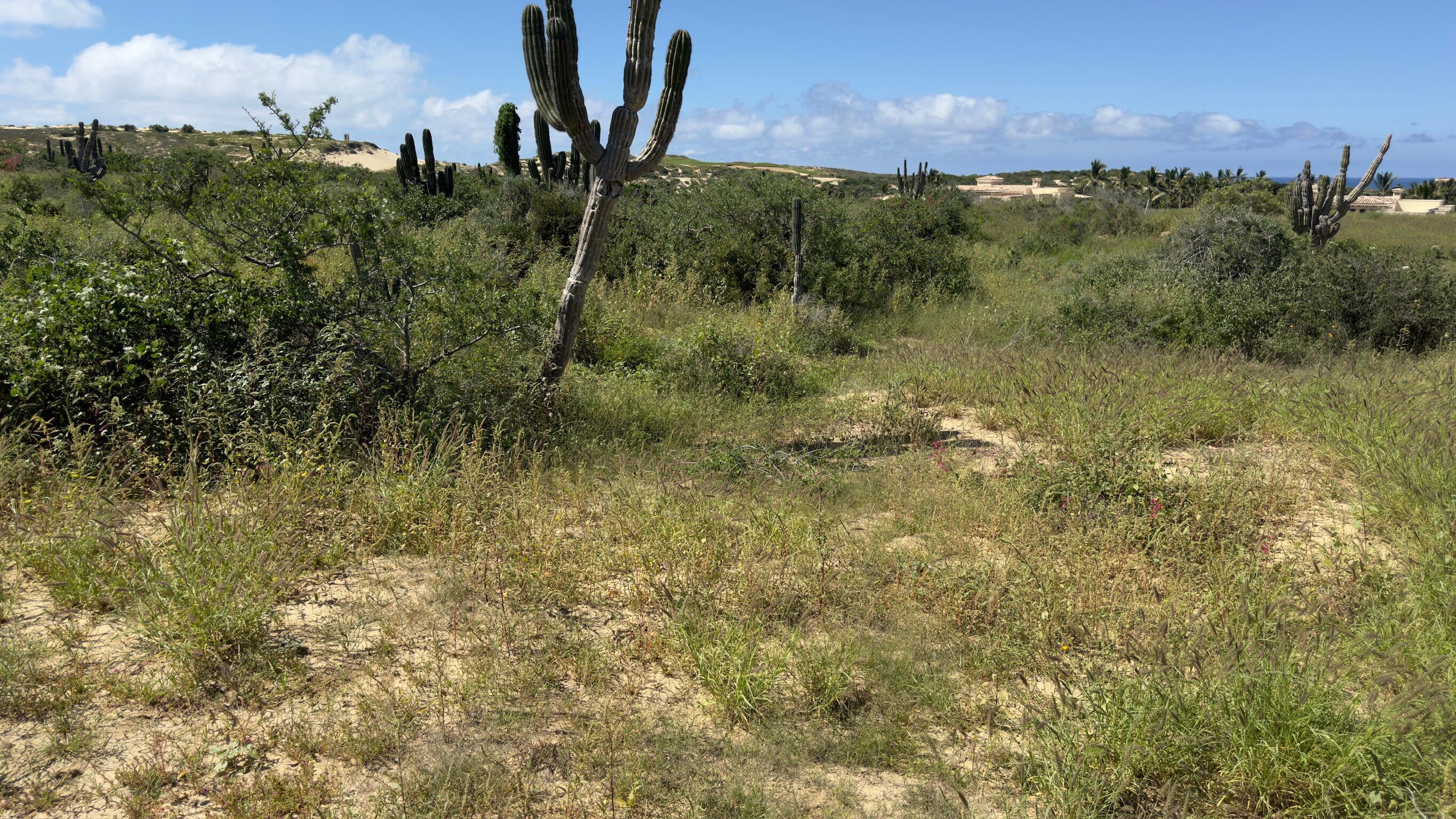 Diamante Cabo San Lucas, Mexico, ,Land,Active,38827