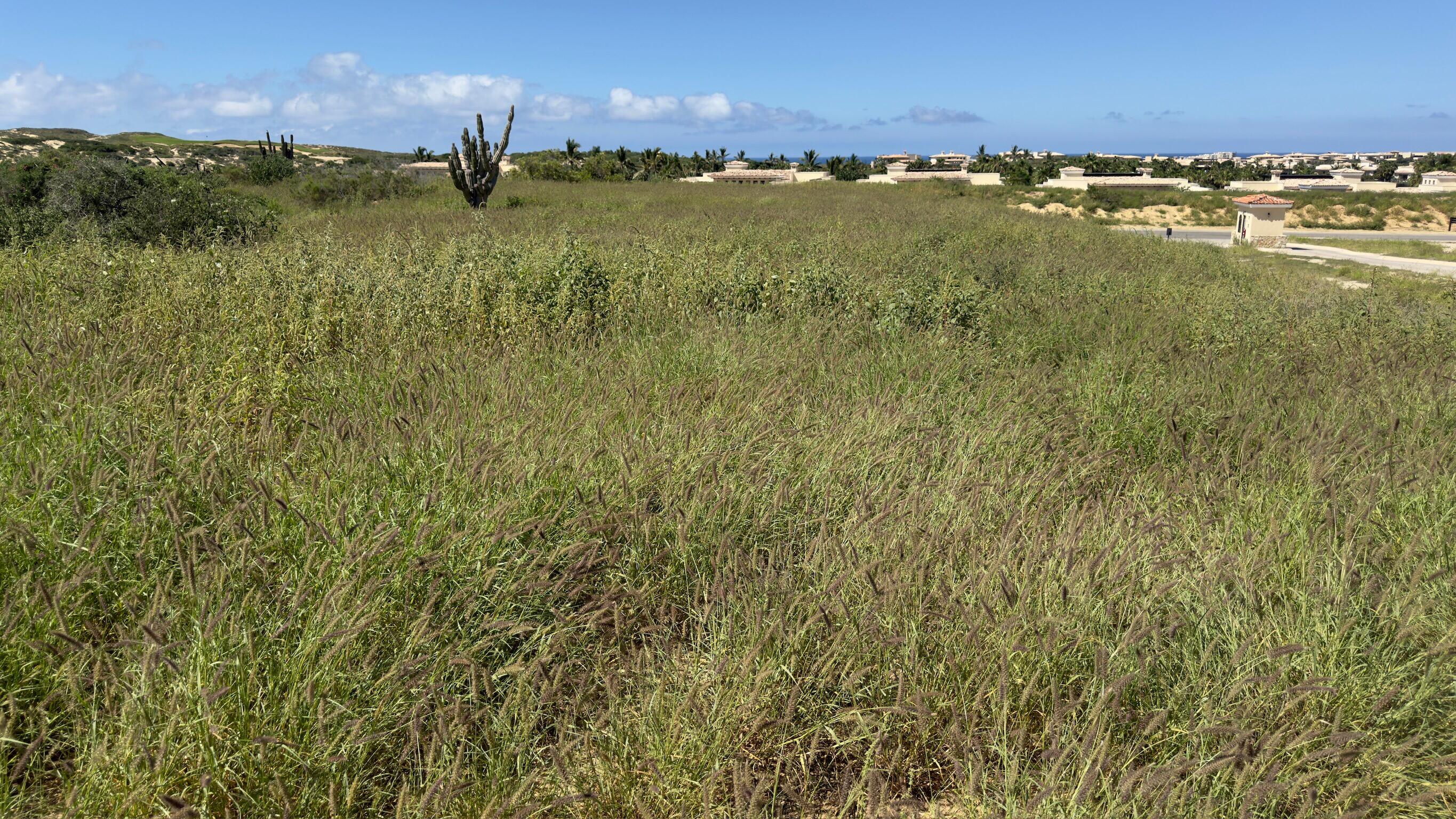 Diamante Cabo San Lucas, Mexico, ,Land,Active,38827