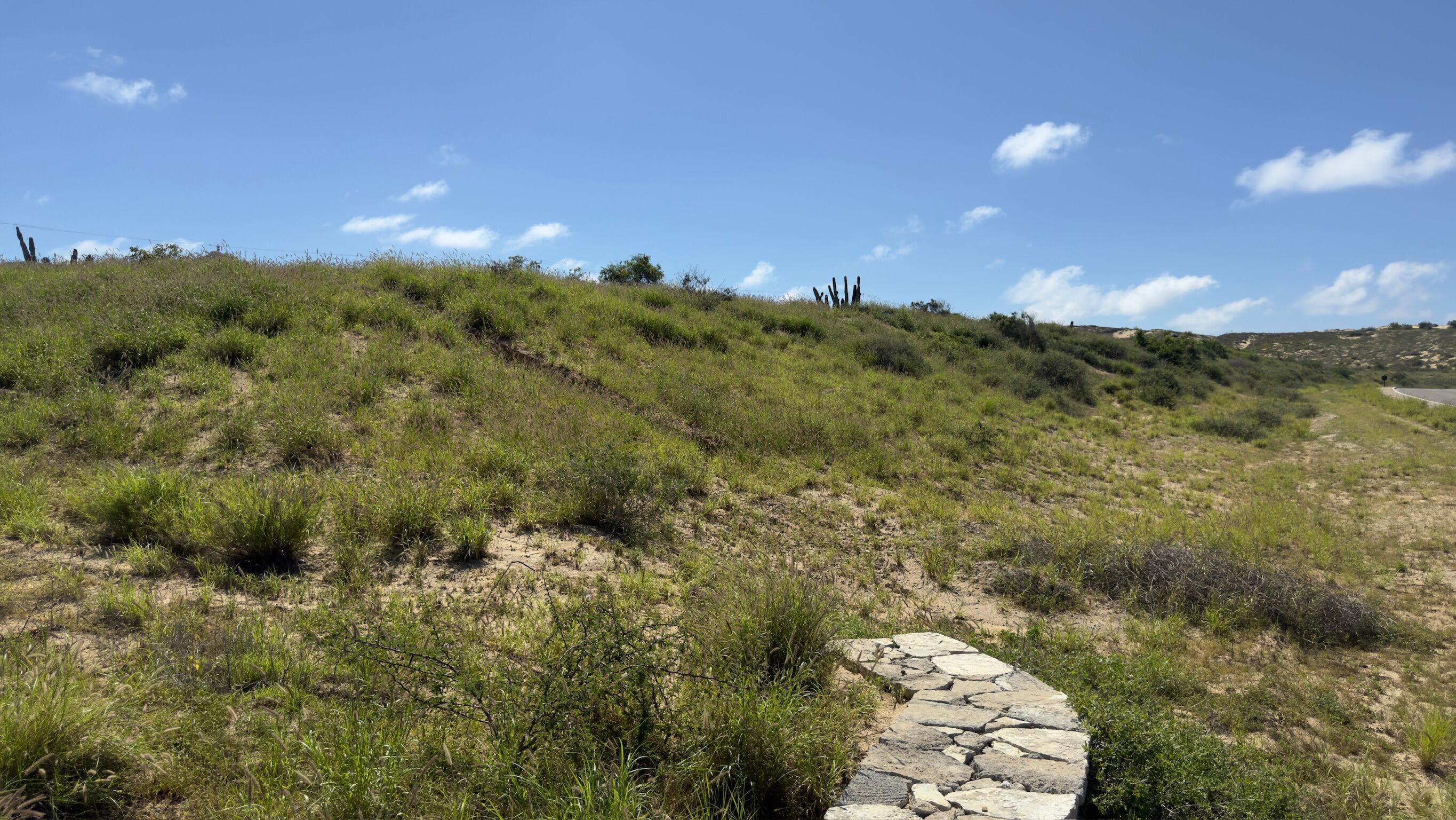Diamante Cabo San Lucas, Mexico, ,Land,Active,38827