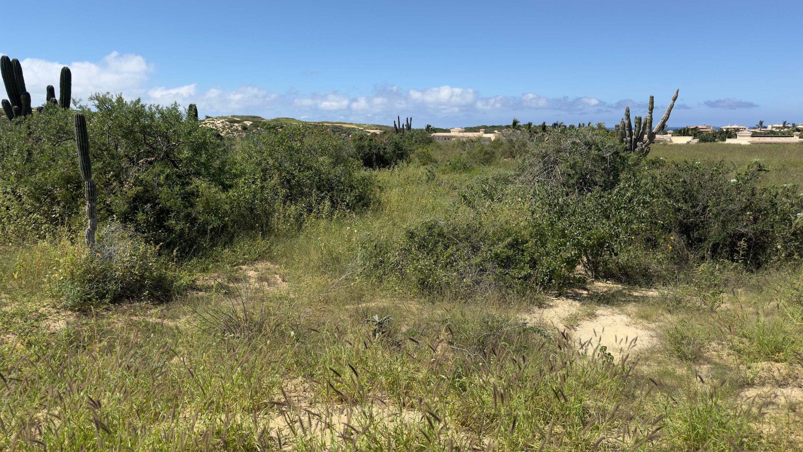 Diamante Cabo San Lucas, Mexico, ,Land,Active,38827