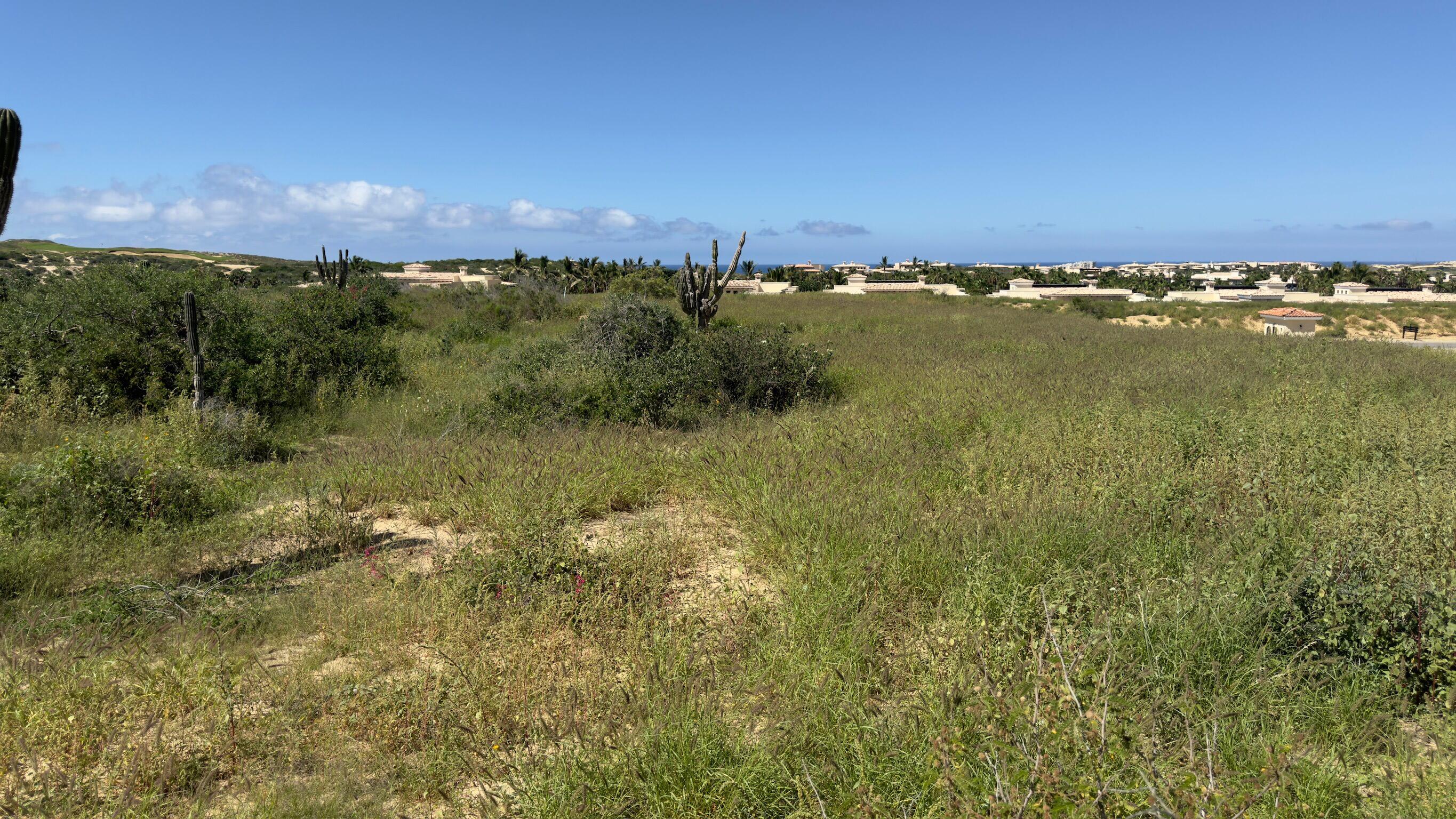Diamante Cabo San Lucas, Mexico, ,Land,Active,38827