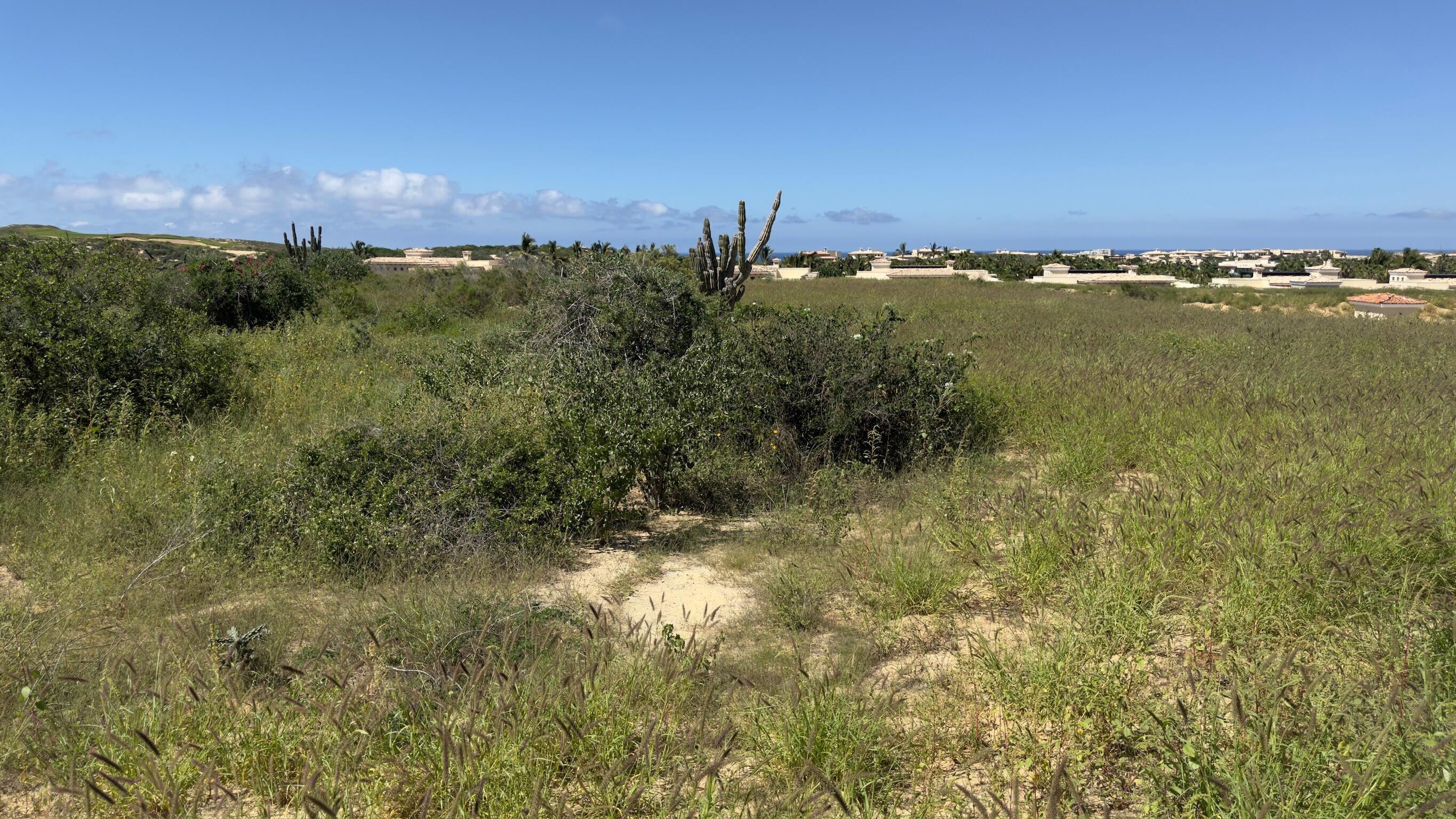 Diamante Cabo San Lucas, Mexico, ,Land,Active,38827