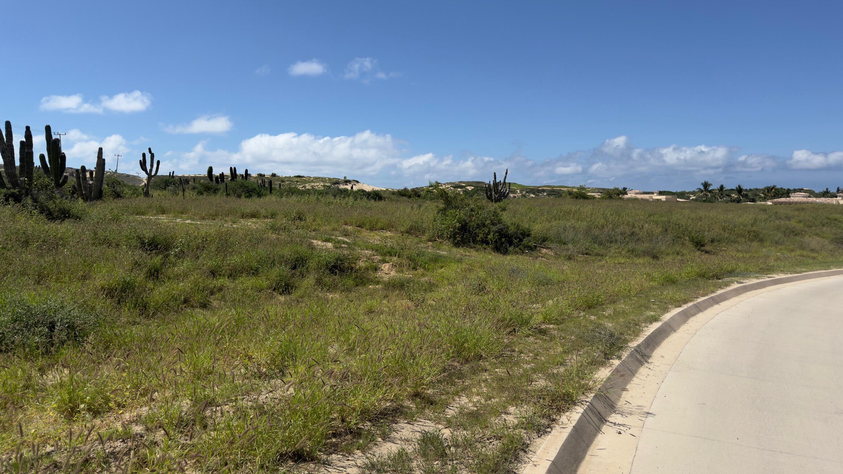 Diamante Cabo San Lucas, Mexico, ,Land,Active,38827