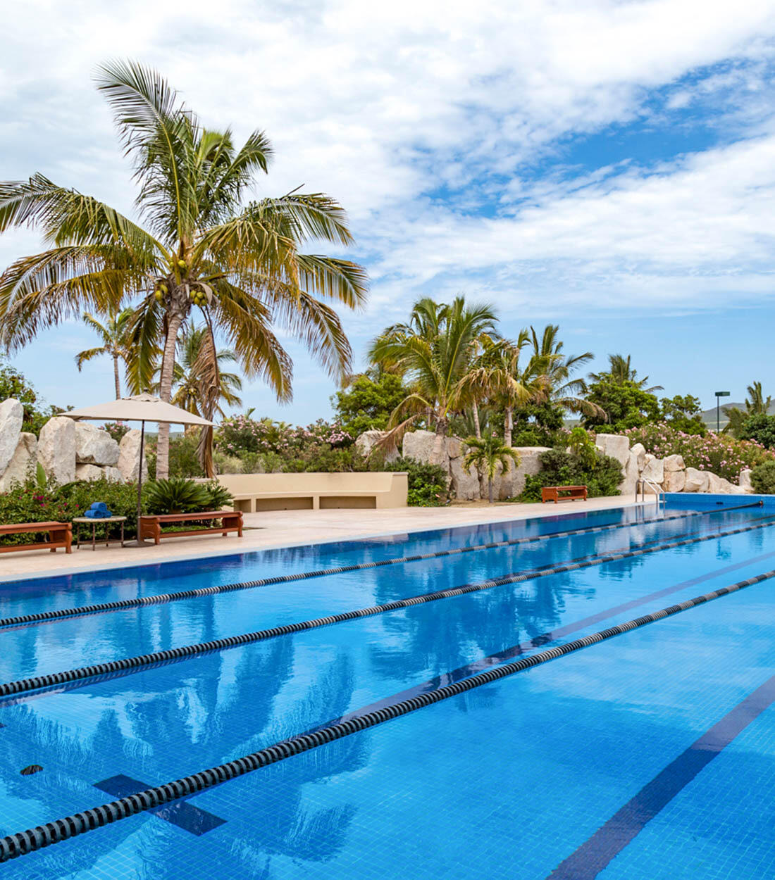 Diamante Cabo San Lucas, Mexico, 3 Bedrooms Bedrooms, ,4 BathroomsBathrooms,Residential,Active,29645