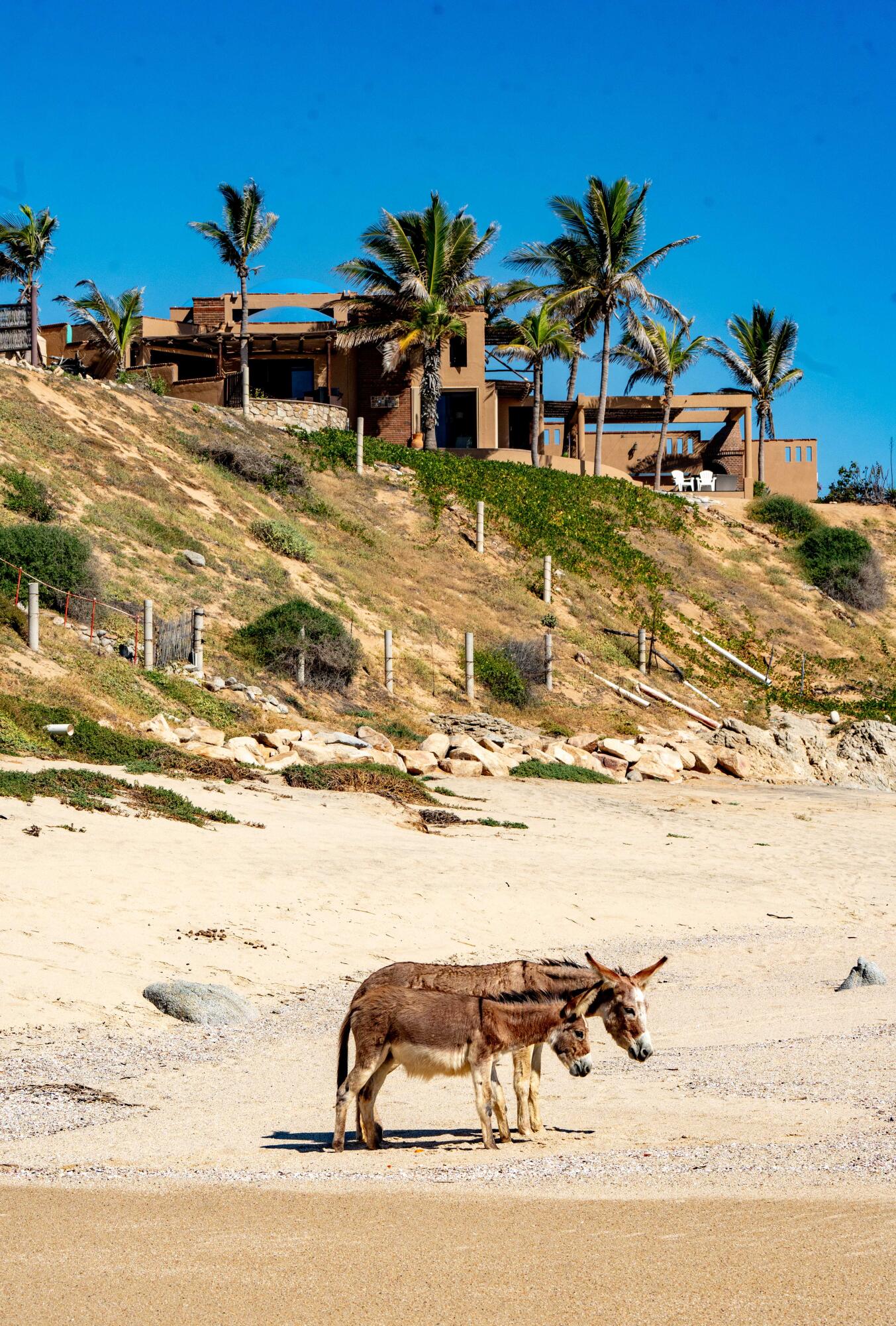 East Cape, Mexico, 3 Bedrooms Bedrooms, ,4 BathroomsBathrooms,Residential,Active,252505