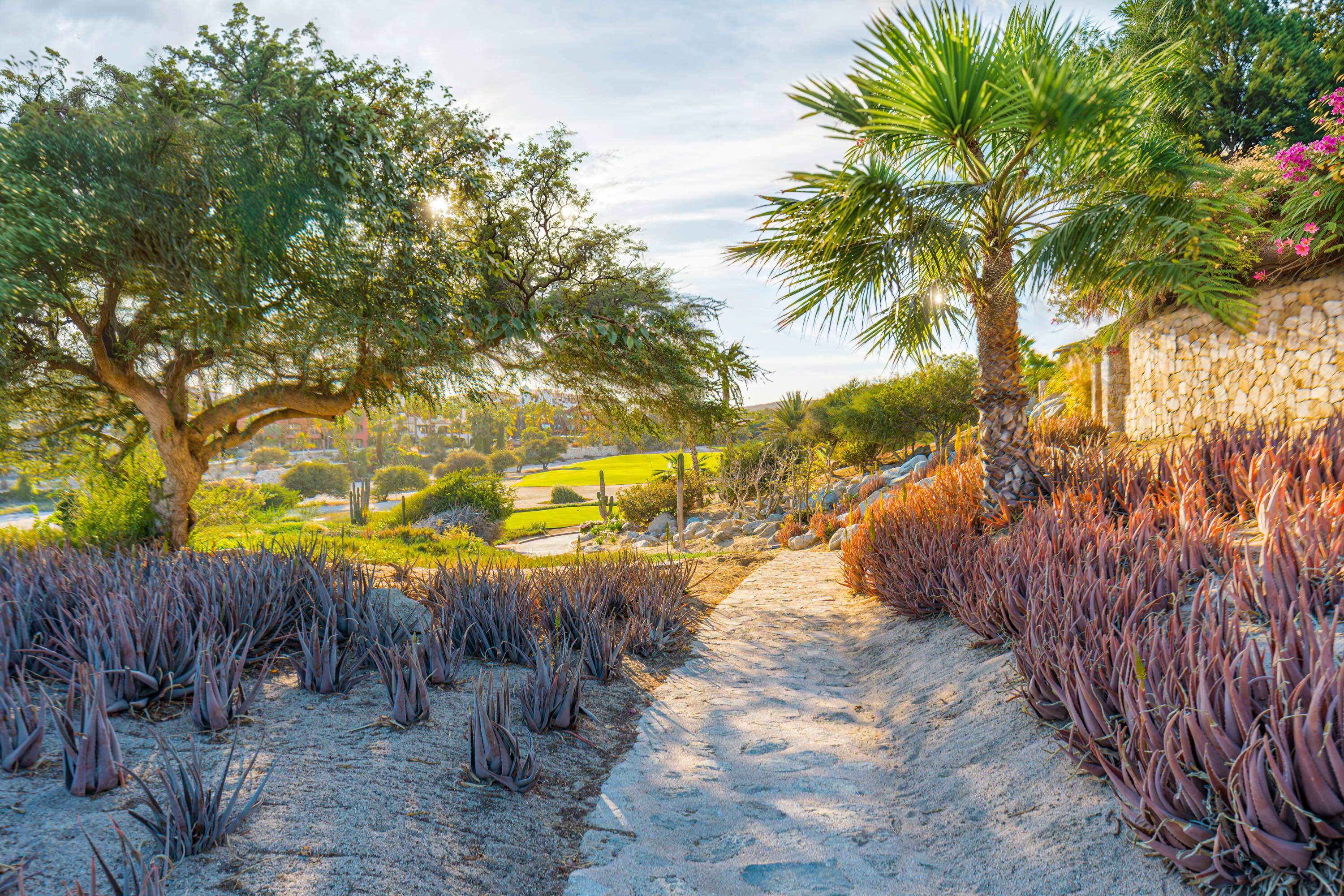 Cabo Del Sol, Mexico, 2 Bedrooms Bedrooms, ,3 BathroomsBathrooms,Residential,Active,84707