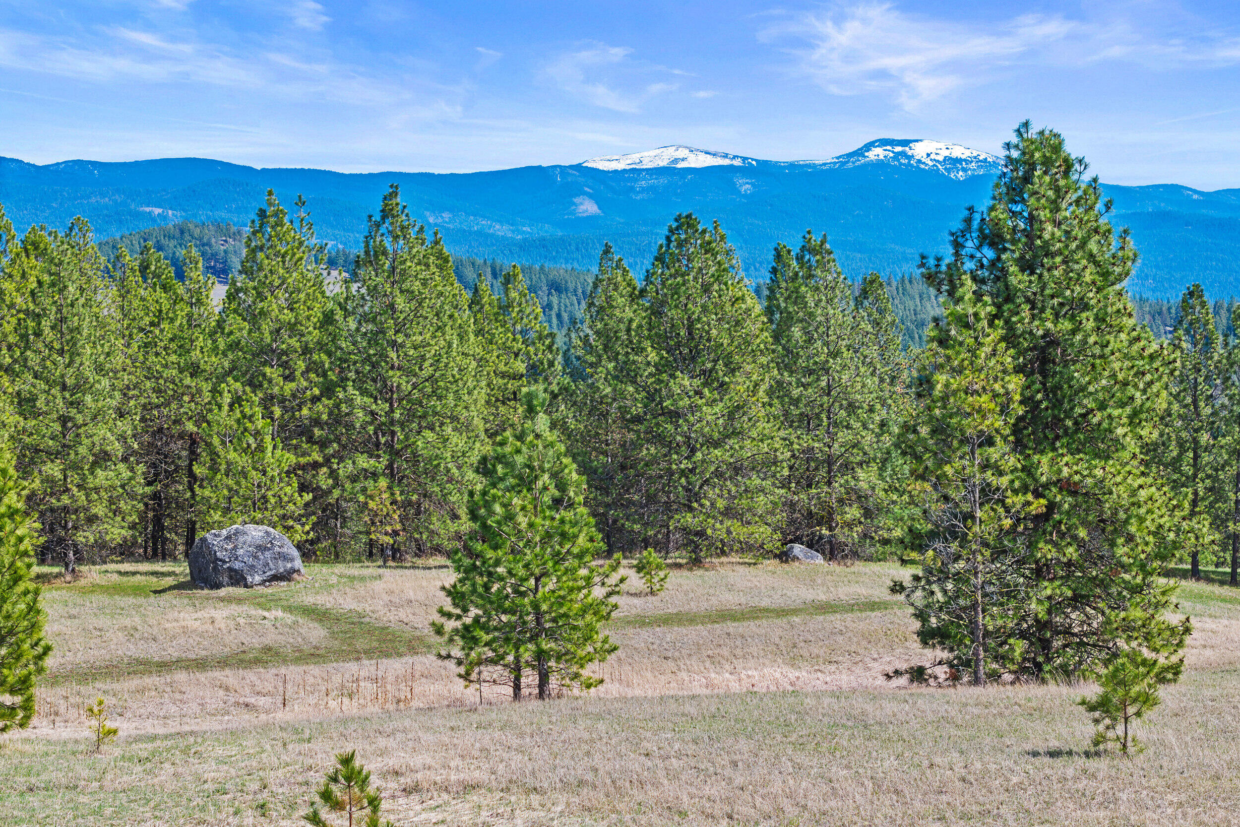 Colville, Washington, 99114, United States, 3 Bedrooms Bedrooms, ,2 BathroomsBathrooms,Residential,Active,2037574