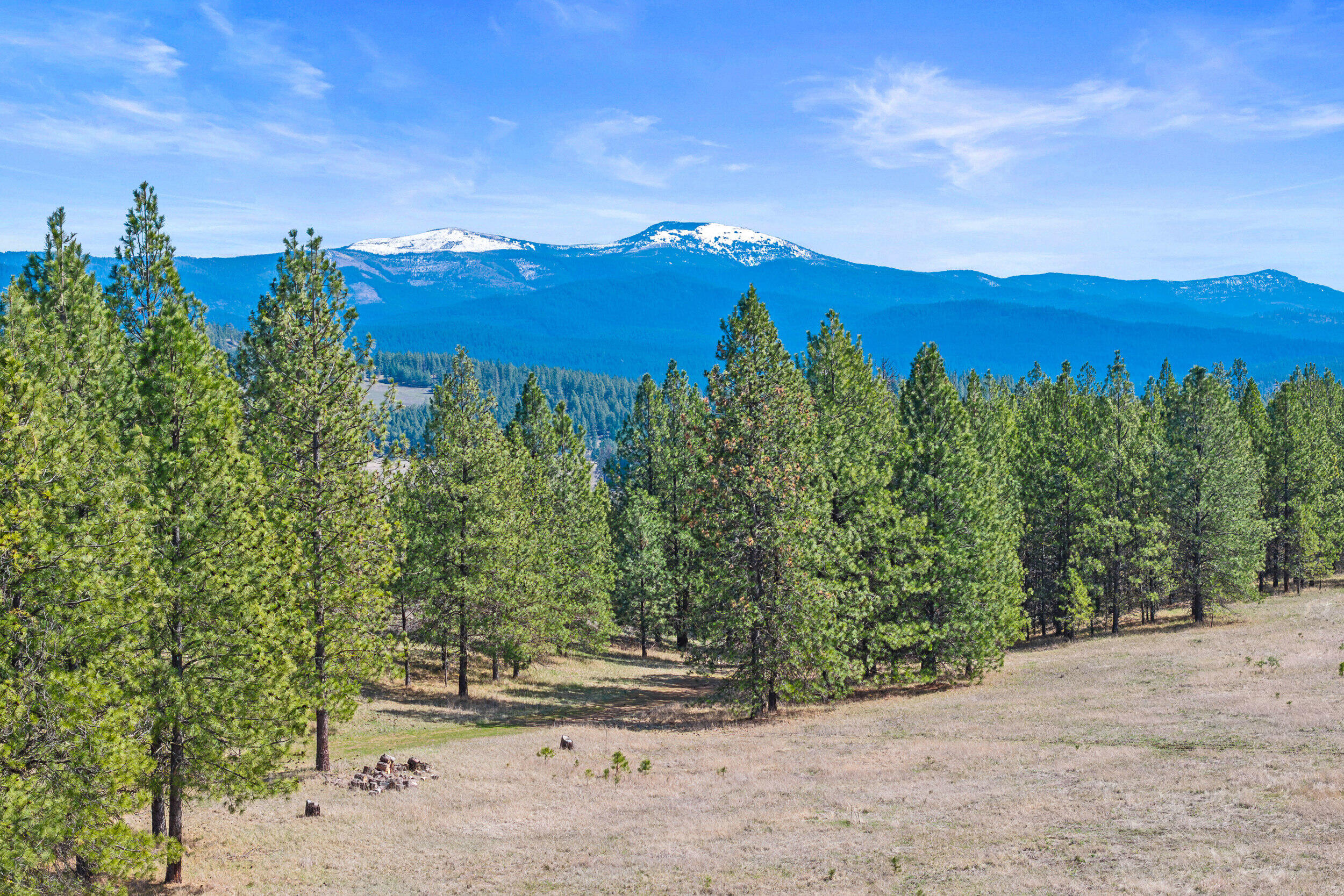 Colville, Washington, 99114, United States, 3 Bedrooms Bedrooms, ,2 BathroomsBathrooms,Residential,Active,2037574