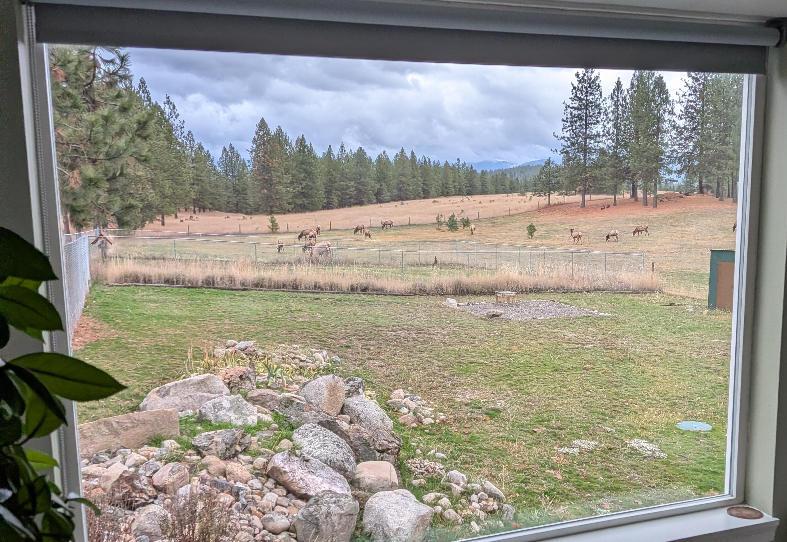 Colville, Washington, 99114, United States, 3 Bedrooms Bedrooms, ,2 BathroomsBathrooms,Residential,Active,2037574