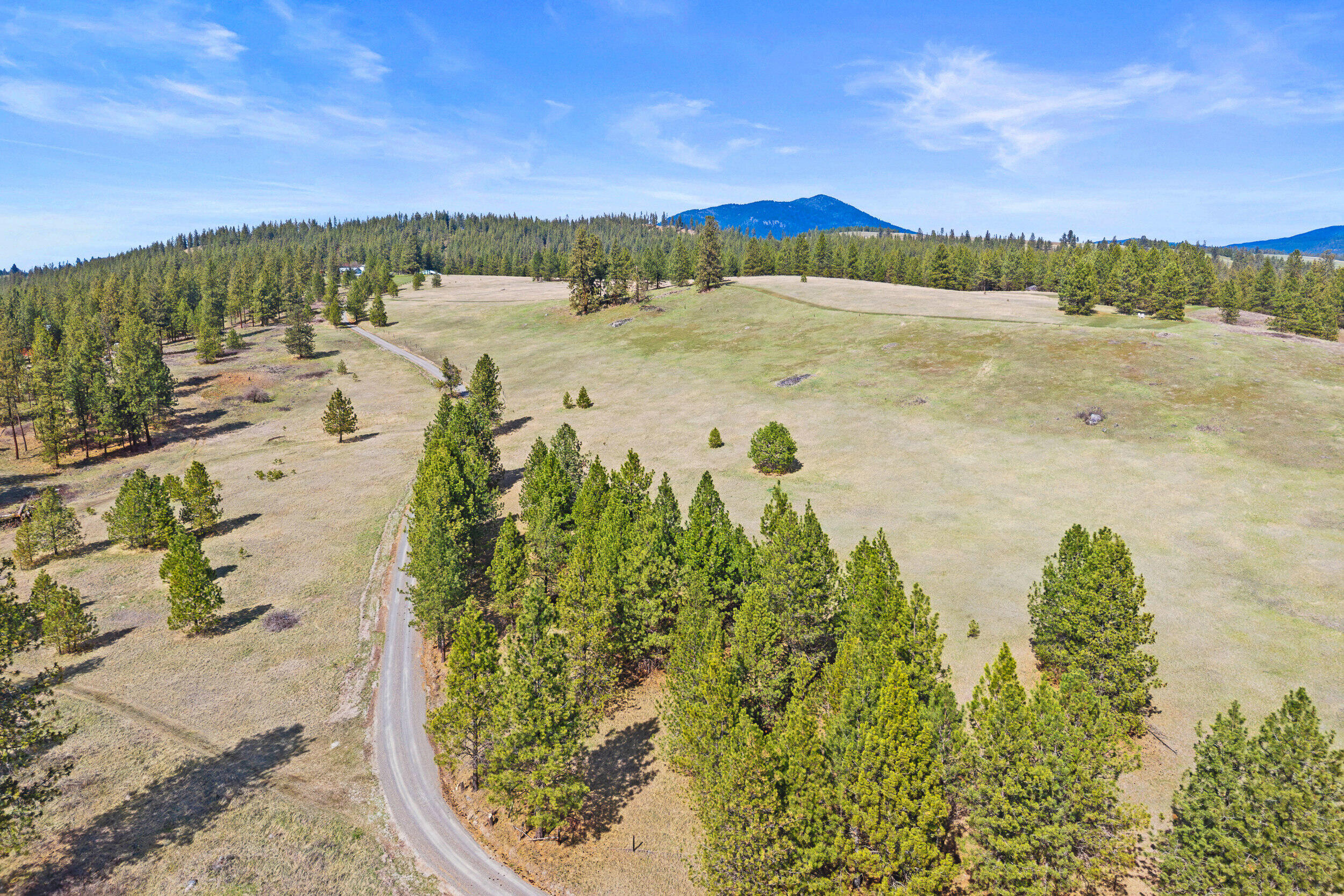 Colville, Washington, 99114, United States, 3 Bedrooms Bedrooms, ,2 BathroomsBathrooms,Residential,Active,2037574