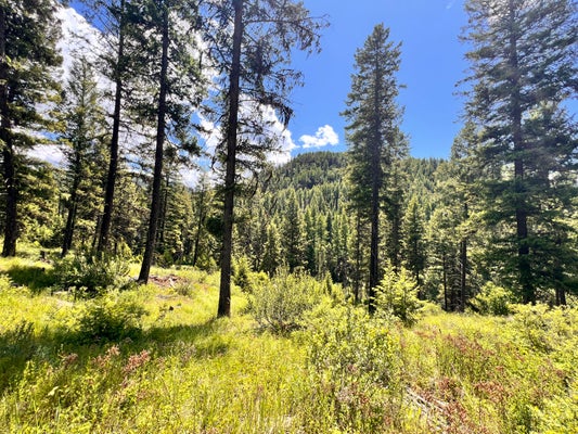 TBD OLD KETTLE FALLS RD, REPUBLIC, WA 99166 - Image 074d63b34944077d6a1219ea8e348507/4134844463
