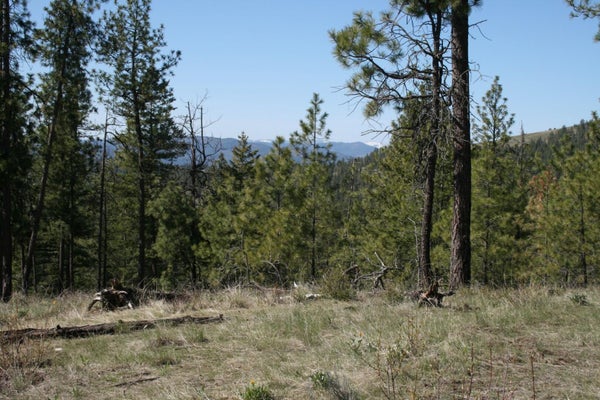 6171 COYOTE CANYON RD, FRUITLAND, WA 99129 - Image 10ef635e1b5a185f194bcfb516d32ee2/217350559
