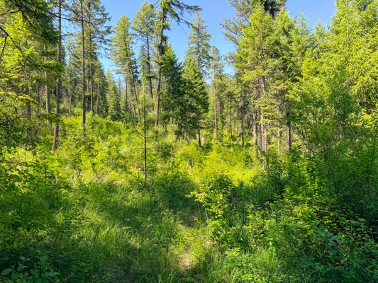 2008 C SUMMIT VALLEY RD, ADDY, WA 99101 - Image 21953aea2671ce58cd8f4fbf9a003e34/3321709333