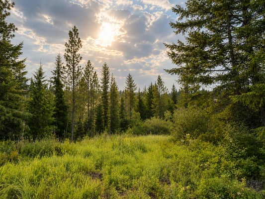 LOON LN, INCHELIUM, WA 99138 - Image 294f53a4e46a4d3a0950d9f6fabef3a3/3709279436