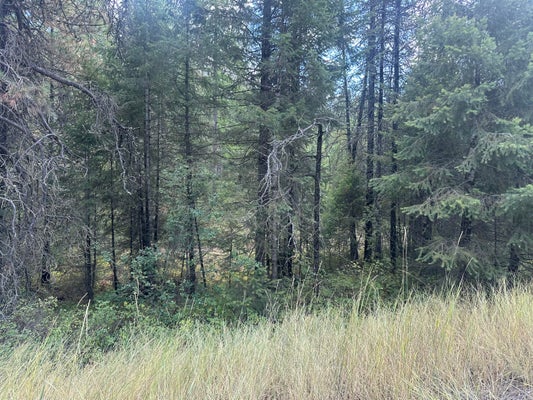W JUMPOFF RD, VALLEY, WA 99181 - Image 2b5124067dd23794fa1e91f57d77e23e/1543587815
