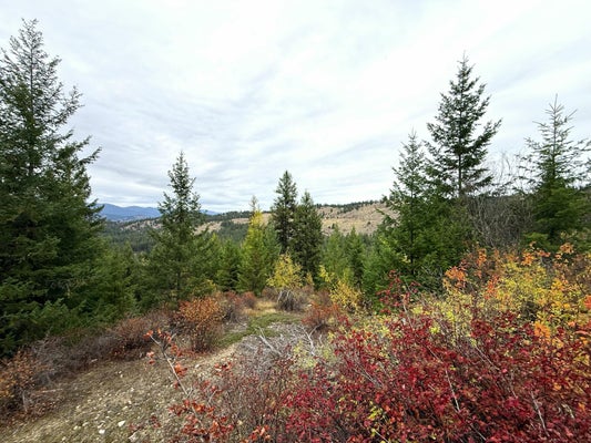 91 EDGEWOOD LN, CURLEW, WA 99118 - Image 324c4e5975f6f31657077b892a13217d/1213359688