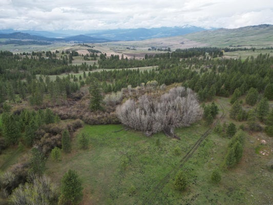 5824 B NEWBILL RD, FRUITLAND, WA 99129 - Image 325b9d8e4de46ea303adf6cc50a186b8/4186534226