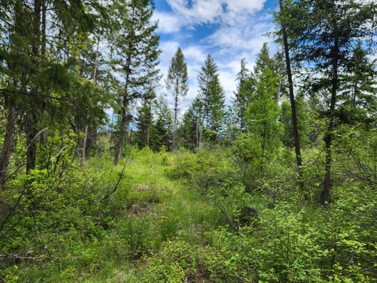 318 ROCKABYE LN, CURLEW, WA 99118 - Image 430e99e1321a6f0e5ea69b00b09d6b3b/3347612829