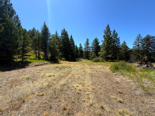 135 SLIPPERY HILL LN, REPUBLIC, WA 99166 - Image 672ea9b0159d15ae228db292c256d9d5/1565734497