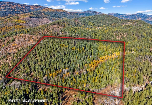 1133 ALADDIN RD, COLVILLE, WA 99114 - Image 72d0c0d5ffdc16688c46f23d7950a060/608474218