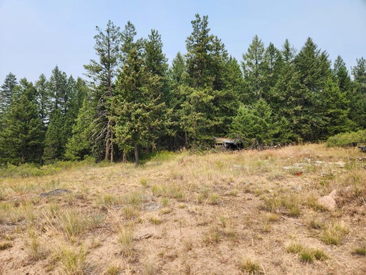 250 UNION RIDGE RD, REPUBLIC, WA 99166 - Image 77af2697d825de148736e9ee4ece985e/1416199914