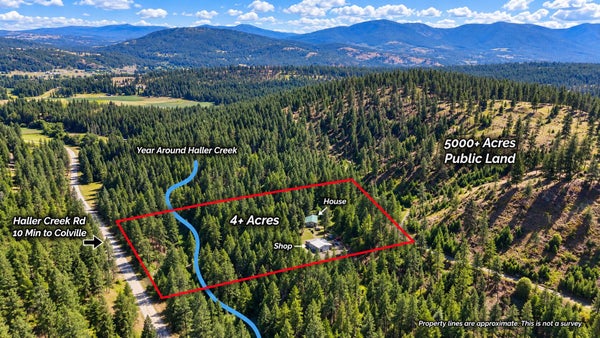 683 HALLER CREEK RD, COLVILLE, WA 99114 - Image 78a64bd0f3d34088e6fa6dc771bb225e/351152601