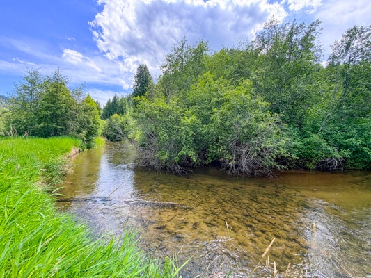3159 HEATHER LN, COLVILLE, WA 99114 - Image 7cf50afdb77badfc36acb3e59e3b0947/350824743
