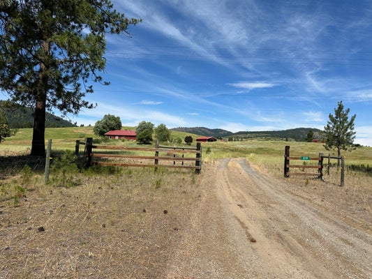 1239 KEWA METEOR RD, INCHELIUM, WA 99138 - Image 8a5eaa1ed940e9d9000ce18549feab1c/3191459592