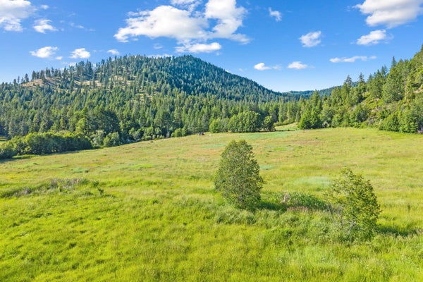 OLD BALDY RD, RICE, WA 99167 - Image 8d11c90f74346ea784aa8331711f0cc1/690838496