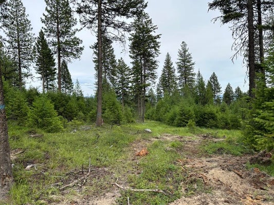 36 SHERIDAN RD, REPUBLIC, WA 99166 - Image 905aee0fe48cd2bd468a421435daa4d7/3102496196