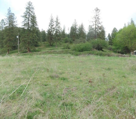 2XX HWY 395 N, COLVILLE, WA 99114 - Image a6edfea1e53f60bc7d1bf5f95dcab42e/4189928492