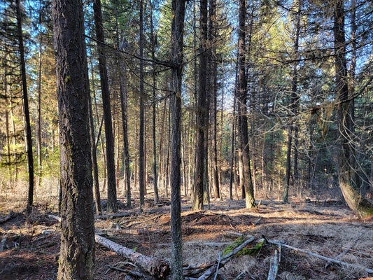 LUNDIMO MEADOW RD, CURLEW, WA 99118 - Image a8f268dab1abbb1b37992b956ddf995f/959163273