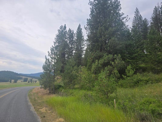 1268 A KITT NARCISSE RD, COLVILLE, WA 99114 - Image ae79d6693aa0e90c5f66a3fe49c46a2f/2046861007