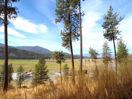 2XX HWY 395 N HWY, COLVILLE, WA 99114 - Image b196feacd5c98538f9b80f7092afa5f2/2037601001