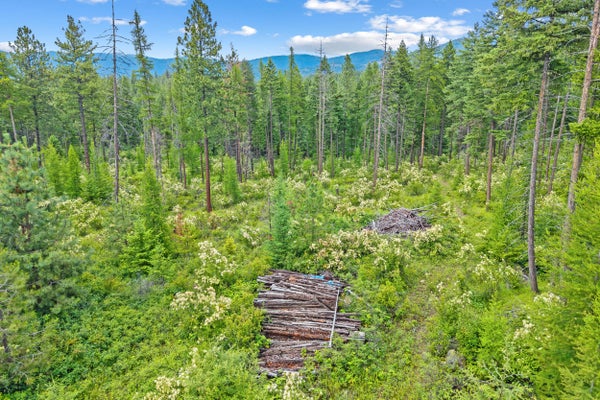OLD BUSSARD LAKE RD, LOON LAKE, WA 99148 - Image b8d0535f9a48df699aba7a510dac9a8f/1671630124