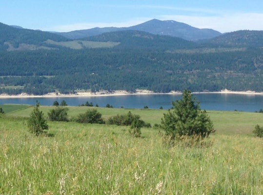 2069 JOHNSON RD, RICE, WA 99167 - Image bbcd972009cc38dc988baa25d1dc8d5f/2009507980