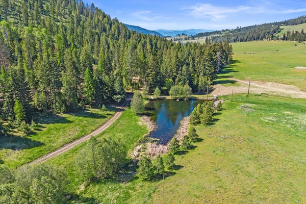 3114 OLD BALDY RD, RICE, WA 99167 - Image c0902f3198e4a2db4481922d1244008a/2874777557